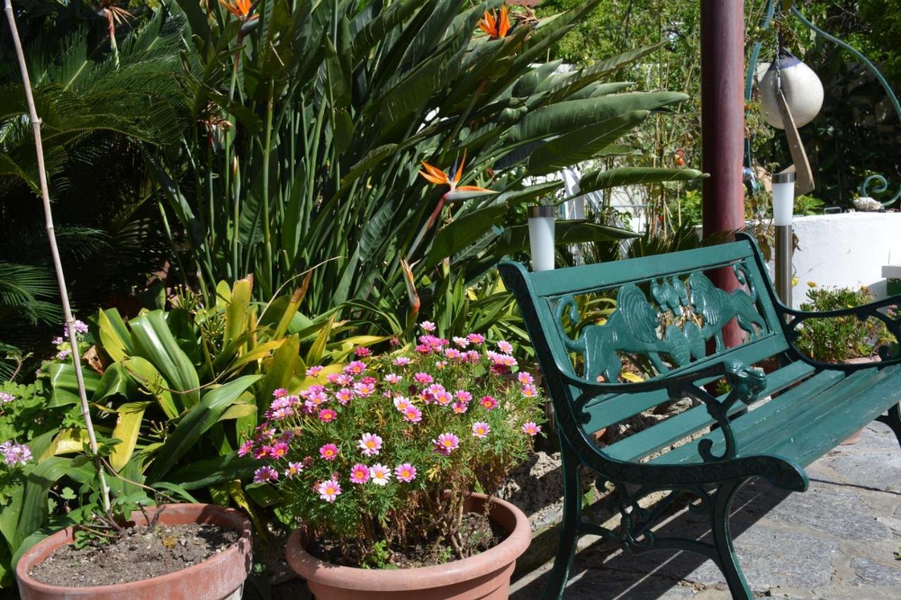 B&B Lodge Dell'Ospite Ischia Казамиччола-Терме Экстерьер фото