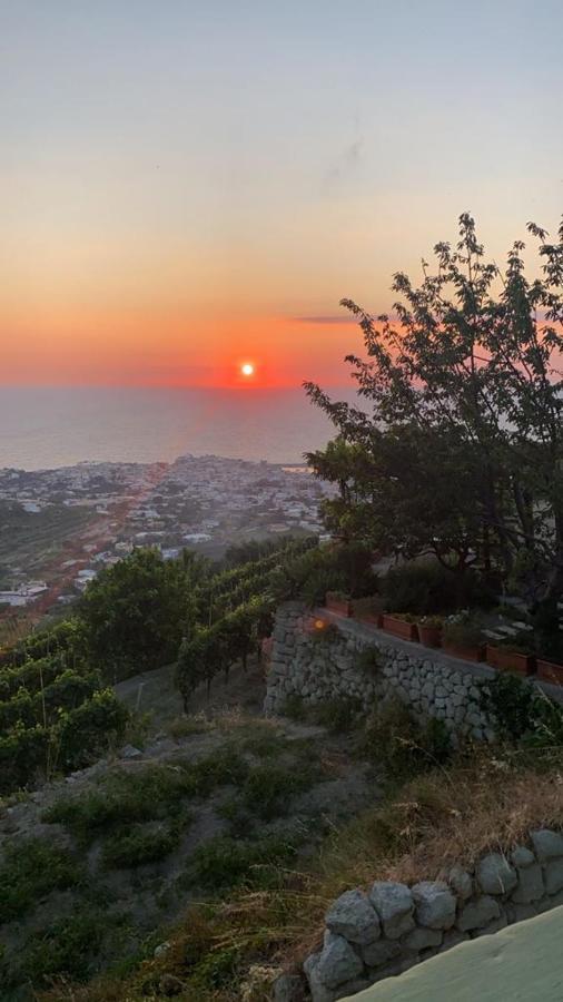 B&B Lodge Dell'Ospite Ischia Казамиччола-Терме Экстерьер фото