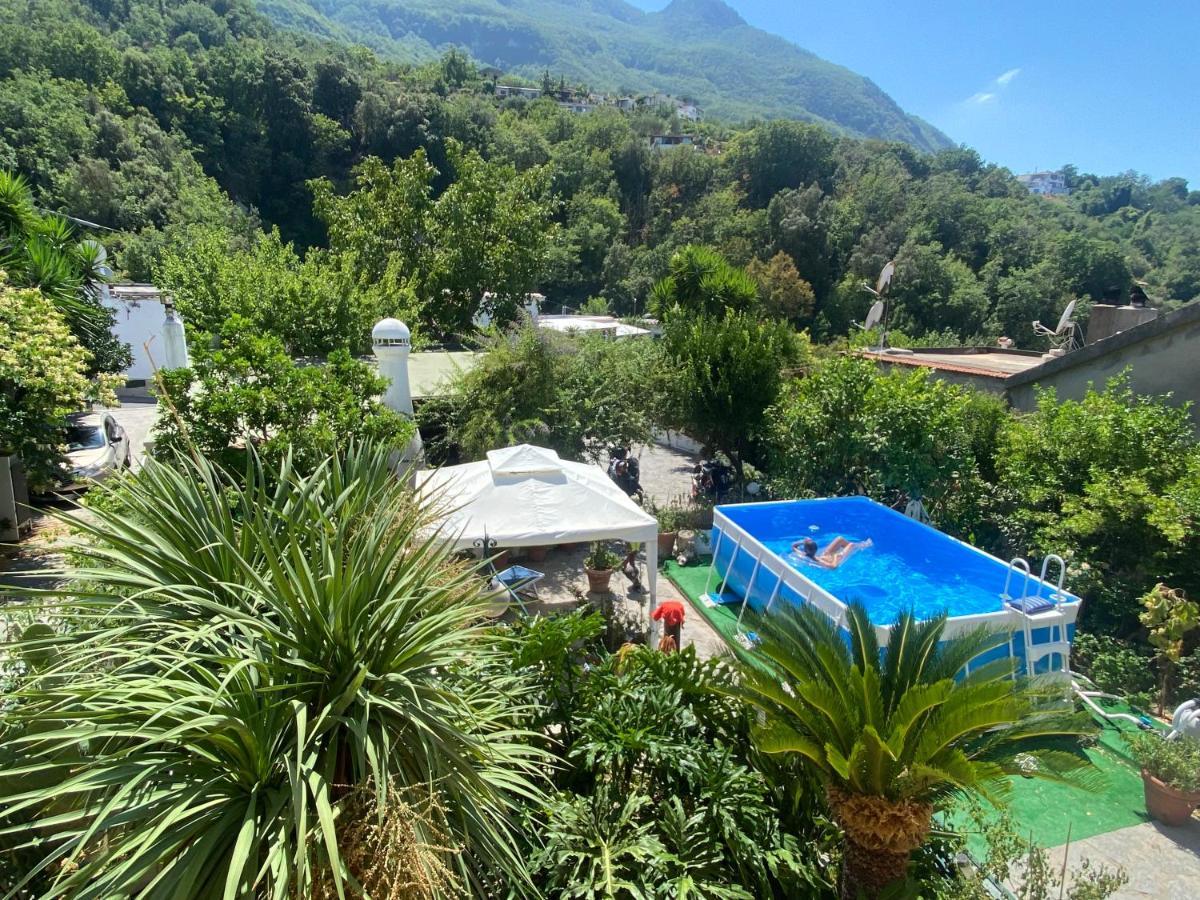 B&B Lodge Dell'Ospite Ischia Казамиччола-Терме Экстерьер фото